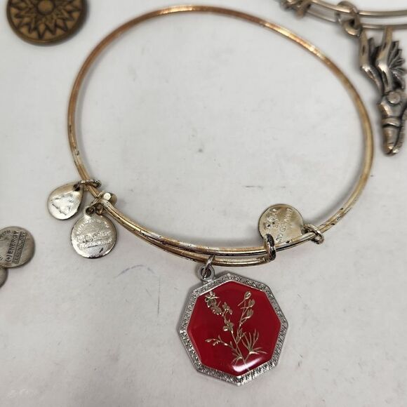 ALEX and ANI Bangle Bracelet Lot #1 Wear Compass, Larkspur, Hockey, Flying Shoe - Picture 2 of 6